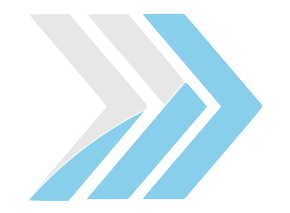 The Data Consulting Company logo
